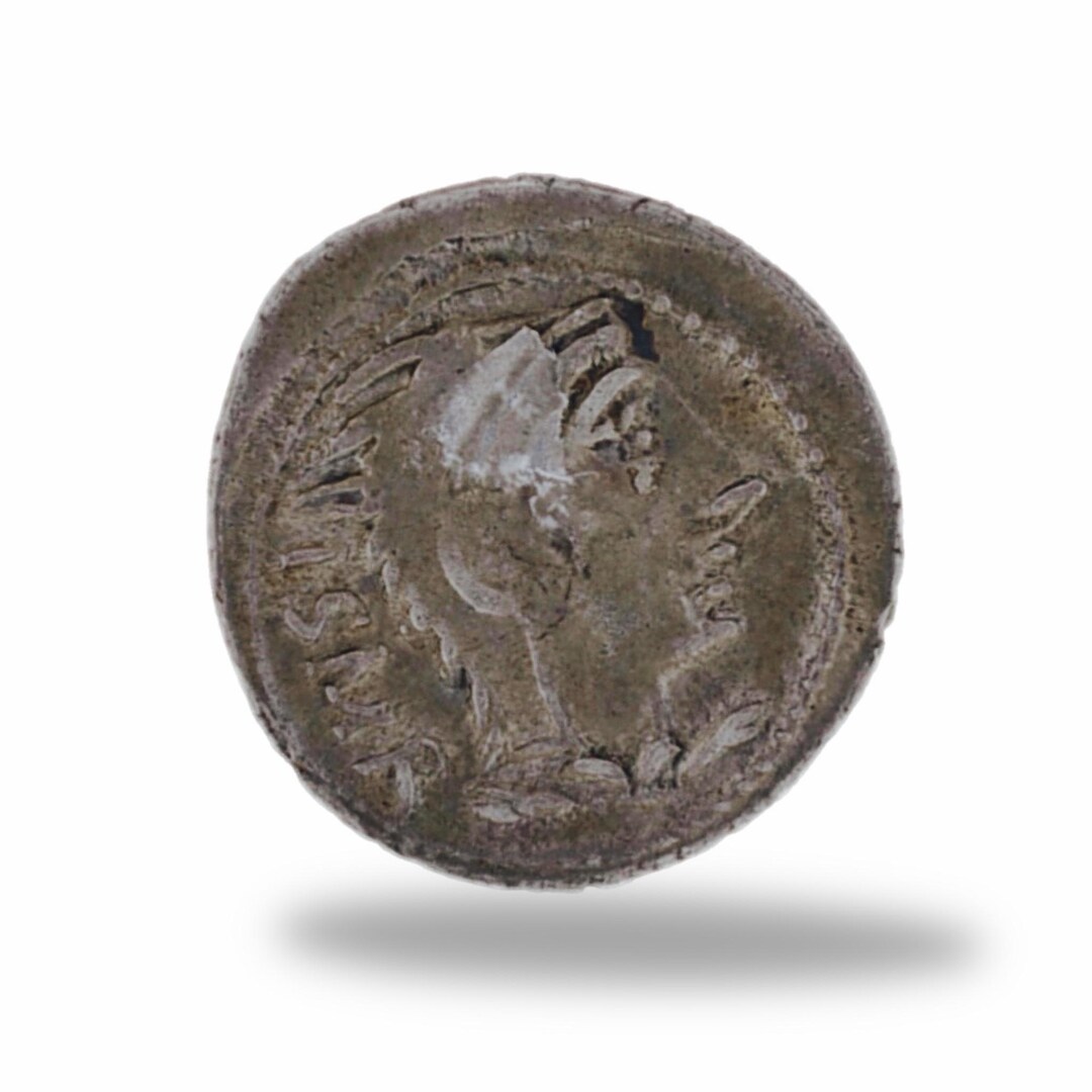 Roman Republic Hand Struck Denarius of L. Thorius Balbus 105 BC - Etsy