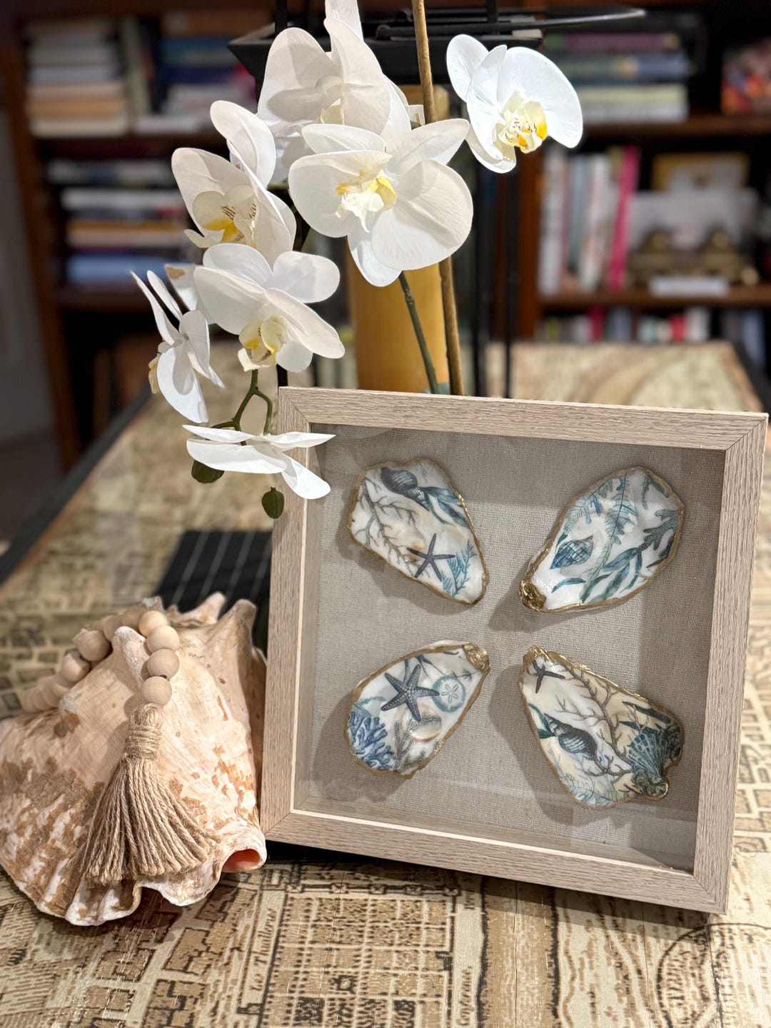 Oyster Shell Shadow Box - Etsy