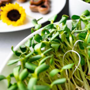 Pure Live Microgreens - Live Nutrient Sports Microgreen Health Packs