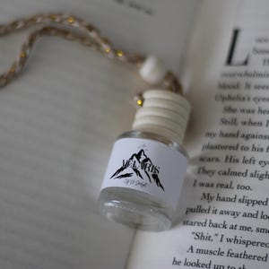 Book Themed Car Diffusers