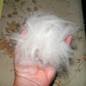 May include: A handful of soft, white, fluffy fiber. The fibers are long and fine, with a slightly textured appearance. The material is held in an open hand, with the background out of focus.