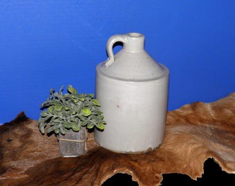 May include: A gray stoneware jug with a handle and a lid. A small potted plant with green leaves sits to the left of the jug. The jug is on a brown surface against a blue background.