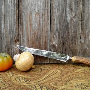 May include: A silver knife with a brown antler handle rests on a patterned fabric with a green and orange tomato and a white onion beside it.