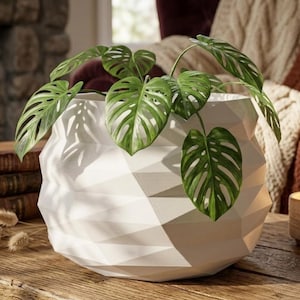 Peut inclure: Un pot de fleurs blanc à motifs géométriques contenant une plante Monstera adansonii. La plante a de grandes feuilles vertes avec des trous distinctifs. Le pot est posé sur une surface en bois, avec un arrière-plan flou.