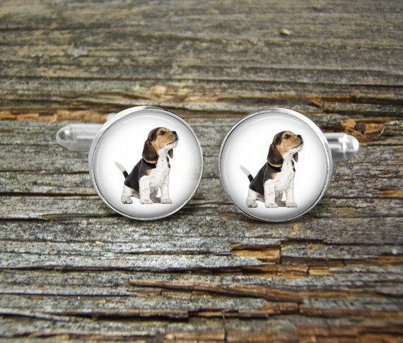 Beagle Cufflinks and Tiepin Photo-Jewelry Jewelry for Men Box Art Dog Ltd
