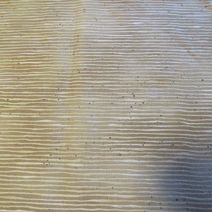 Kansas Song by Susan Winget. 1/2 Yard.