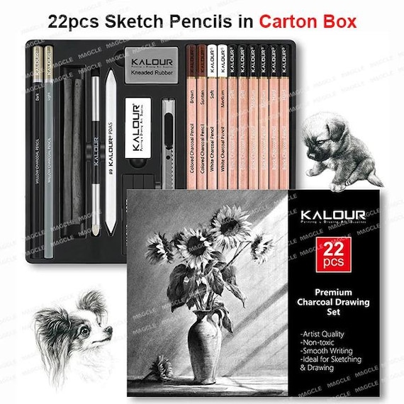 Sketching Art Set | Wood Rod Non-toxic Highlight Drawing Painting Tools Artists Kids High Quality Kit desenho