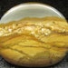 Wild horse picture jasper freeform cabochon