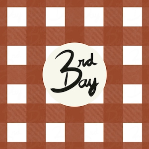 Rust Buffalo Plaid Fall Winter Flannel Seamless File, Seamless Repeat Digital Pattern, Fabric Printing Sublimation