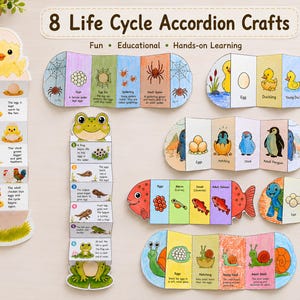 Peut inclure: Huit créations en accordéon illustrant les cycles de vie, dont ceux d'un poussin, d'une araignée, d'une grenouille, d'un canard, d'un pingouin, d'un poisson, d'une tortue et d'un escargot. Chaque création est colorée et éducative.