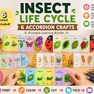 May include: A set of colourful insect life cycle accordion crafts. The image displays six accordion crafts, each illustrating a different stage of an insect's life cycle. The crafts are designed for hands-on learning and feature the text "Insect Life Cycle".