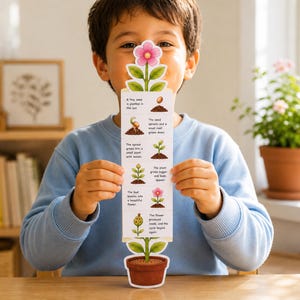 May include: A child holds a colorful educational card illustrating the life cycle of a plant. The card features a sequence of images showing a seed sprouting, growing, and blooming into a flower. The card is held in front of the child.
