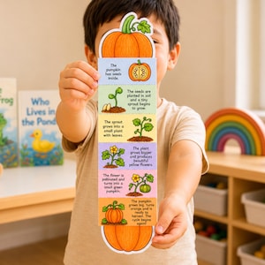Puede incluir: Un niño sostiene una colorida tarjeta educativa del ciclo de vida de la calabaza. La tarjeta muestra las etapas del crecimiento de la calabaza, desde las semillas hasta una calabaza madura. Libros y juguetes en el fondo.