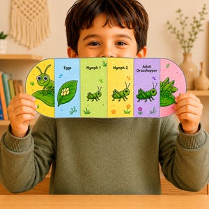 May include: A child holds a colorful educational card illustrating the life cycle of a grasshopper. The card is divided into sections labeled "Eggs," "Nymph 1," "Nymph 2," and "Adult Grasshopper," each with corresponding illustrations.