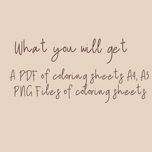 May include: Text on a beige background reads "What you will get" followed by bullet points listing a PDF of A4 and A5 coloring sheets and PNG files of coloring sheets.