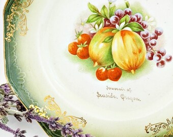 Antique Seaside Oregon Souvenir Plate Limoges Fruit with Green and Gold