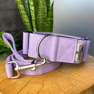Lilac Light Purple, Martingale Dog Collar Optional Lead Leash, Water Repellent Tough 2" 1.5" wide, XS- giant size dogs strong control buckle
