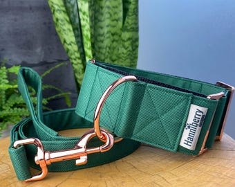 Dark Green Martingale Dog Collar, Water Repellent Tough 2" or 1.5" wide, giant size, strong durable, control, buckle, optional lead leash