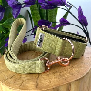 Op de afbeelding: Een saliegroene stoffen hondenhalsband en bijpassende riemset met ros&eacute;gouden metalen hardware. De halsband bevat een rechthoekig zilverkleurig metalen label met de tekst Hanniberry designs en een pootafdruk, en een stevige D-ring.