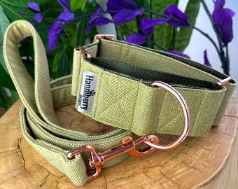 2" Inch or 1.5" Wide Moss Green Canvas Martingale Collar with Rose Gold Hardware, Sighthound Greyhound Whippet and Big Dog, Control XS-XL