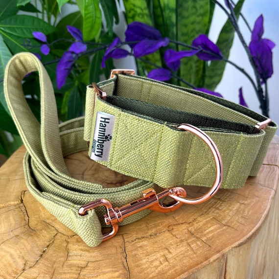 2" Inch or 1.5" Wide Moss Green Canvas Martingale Collar with Rose Gold Hardware, Sighthound Greyhound Whippet and Big Dog, Control XS-XL