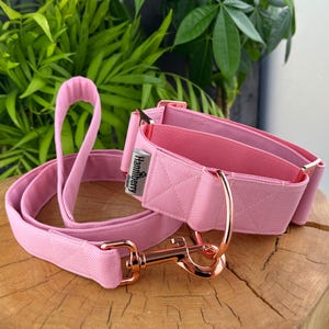 Light Pink, Martingale Dog Collar Optional Lead Leash, Water Repellent Tough 2" 1.5" wide XS- giant size dogs strong control buckle tactical