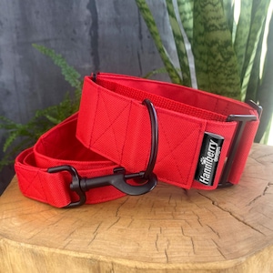 Bright Red Martingale Dog Collar, Water Repellent Tough 2" or 1.5" wide, XS - giant size dogs, strong control, buckle, optional lead leash