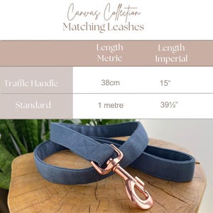 Op de afbeelding: Een blauwe canvas hondenriem met een draaibare musketonhaak van ros&eacute;goudkleurig metaal. Een tabel toont de lengtes: verkeerslijn 38 cm en standaard 1 meter. De tekst luidt Canvas Collection Matching Leashes.