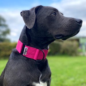 Bright Hot Pink Water Repellent Mud Proof Martingale Dog Collar 2" or 1.5" wide tough, XS to giant size dogs optional buckle, lead leash