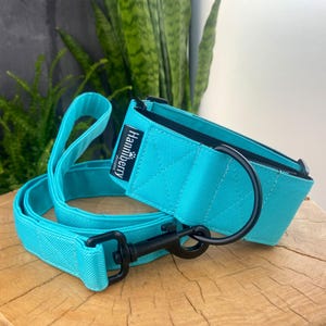 May include: A turquoise dog collar and matching leash set. The collar has a black metal D-ring and a black buckle. The leash has a black metal clasp. The brand name "Hanniberry Designs" is printed on the collar.