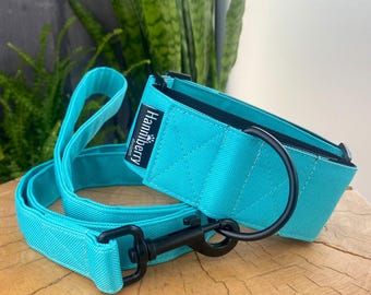 Turquoise Martingale Dog Collar, Water Repellent Tough 2" or 1.5" wide, XS - giant dogs, strong teal, control, buckle, optional lead leash