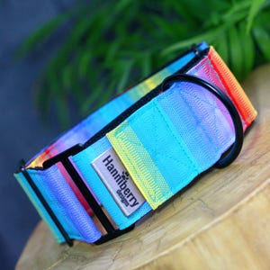 Rainbow Multi Colour Water Repellent Mud Proof Martingale Dog Collar 2" or 1.5" wide tough, Greyhounds Whippet XS to giant size dogs, pride