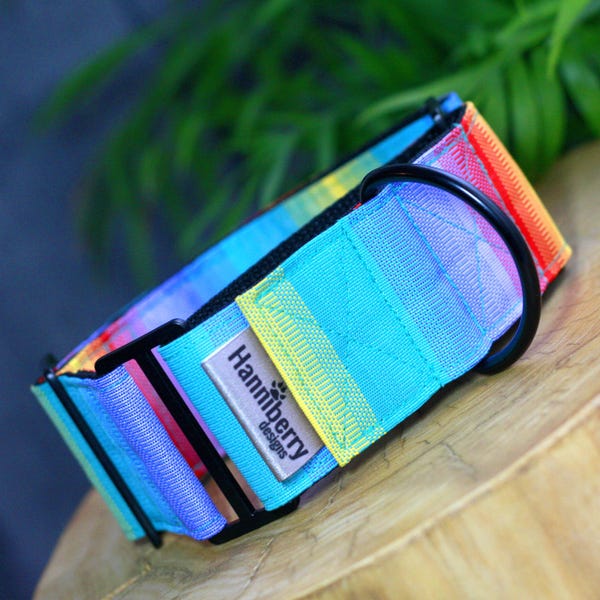 Collier martingale arc-en-ciel multicolore résistant à la boue et à l'eau de 2 po. ou 1,5 po. de large, résistant, lévriers Whippet XS à chiens de taille géante, fierté
