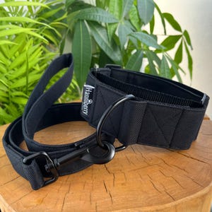 May include: Black dog collar and leash set. The collar and leash are made of durable black fabric with black metal hardware. The collar has the brand name "Hanniberry" printed on it. The set is displayed on a wooden surface with green foliage in the background.