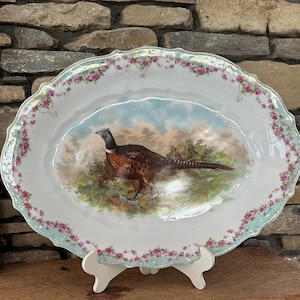Antique CT Altwasser Porcelain Pheasant Platter: Silesia Germany, Fall Decor, Thanksgiving Decor and Table
