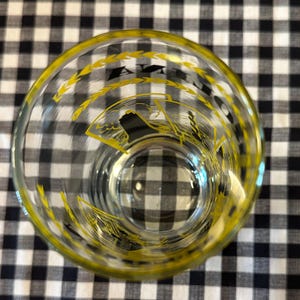Vintage North Carolina Hi-Ball Glasses image 9
