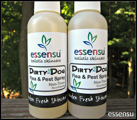 non toxic flea killer