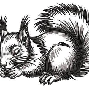 May include: A black and white line drawing of a sleeping squirrel with its tail curled up behind it.