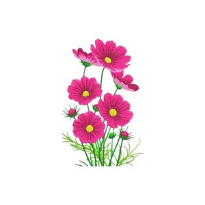 Blumen-Stickerei, Cosmos Blumen Maschinenstickerei, Sofort Download