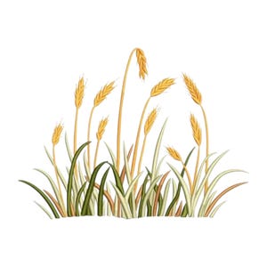 Wheat Grass Embroidery, Machine Embroidery, Botanical, Wheat Stalk, Minimalist Nature, Floral, Rustic, Farmhouse, Herbal, Cottagecore, Grain