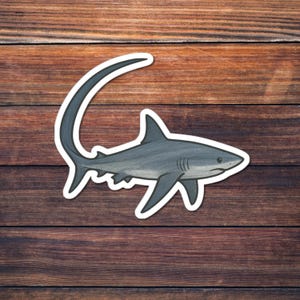 Thresher Shark Sticker, Ocean Predator Kiss-Cut Decal, Marine Wildlife Art, Deep Sea Creature image 1