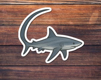 Thresher Shark Sticker, Ocean Predator Kiss-Cut Decal, Marine Wildlife Art, Deep Sea Creature