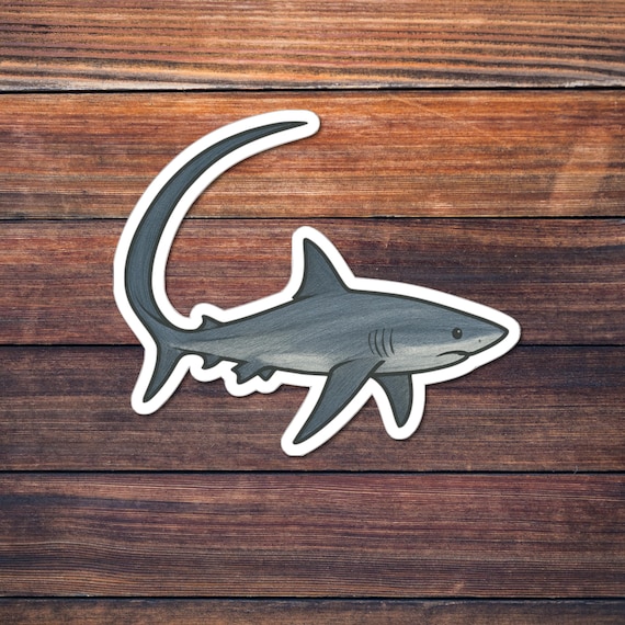 Thresher Shark Sticker, Ocean Predator Kiss-Cut Decal, Marine Wildlife Art, Deep Sea Creature