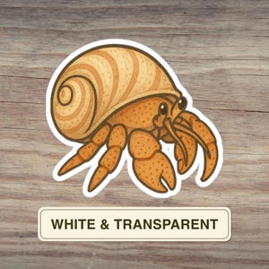 Hermit Crab Sticker, Cute Beach Creature with Shell Design, Ocean Animal Vinyl Decal for Coastal Journals and Tumblers