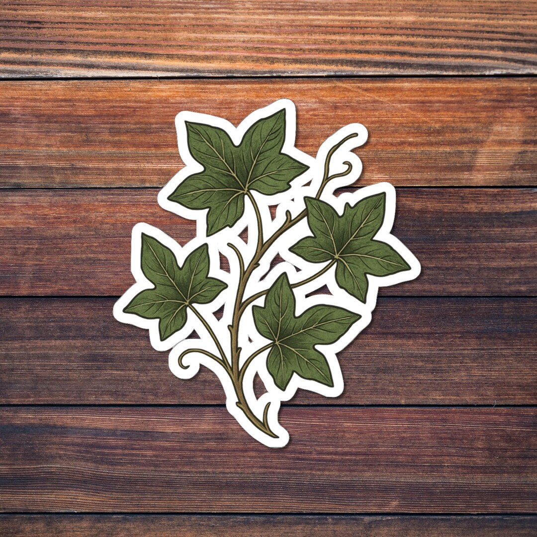Ivy Sticker, Botanical Vine Vinyl Decal, Green Leaf Plant Art, Nature ...
