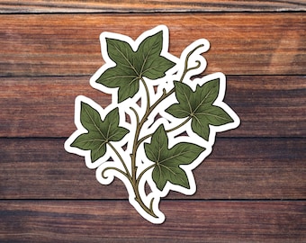 Ivy Sticker, Botanical Vine Vinyl Decal, Green Leaf Plant Art, Nature Aesthetic Sticker, Garden Lover Decor, Laptop Water Bottle Sticker