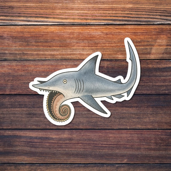 Helicoprion Sticker, Prehistoric Shark Vinyl Decal, Spiral-tooth