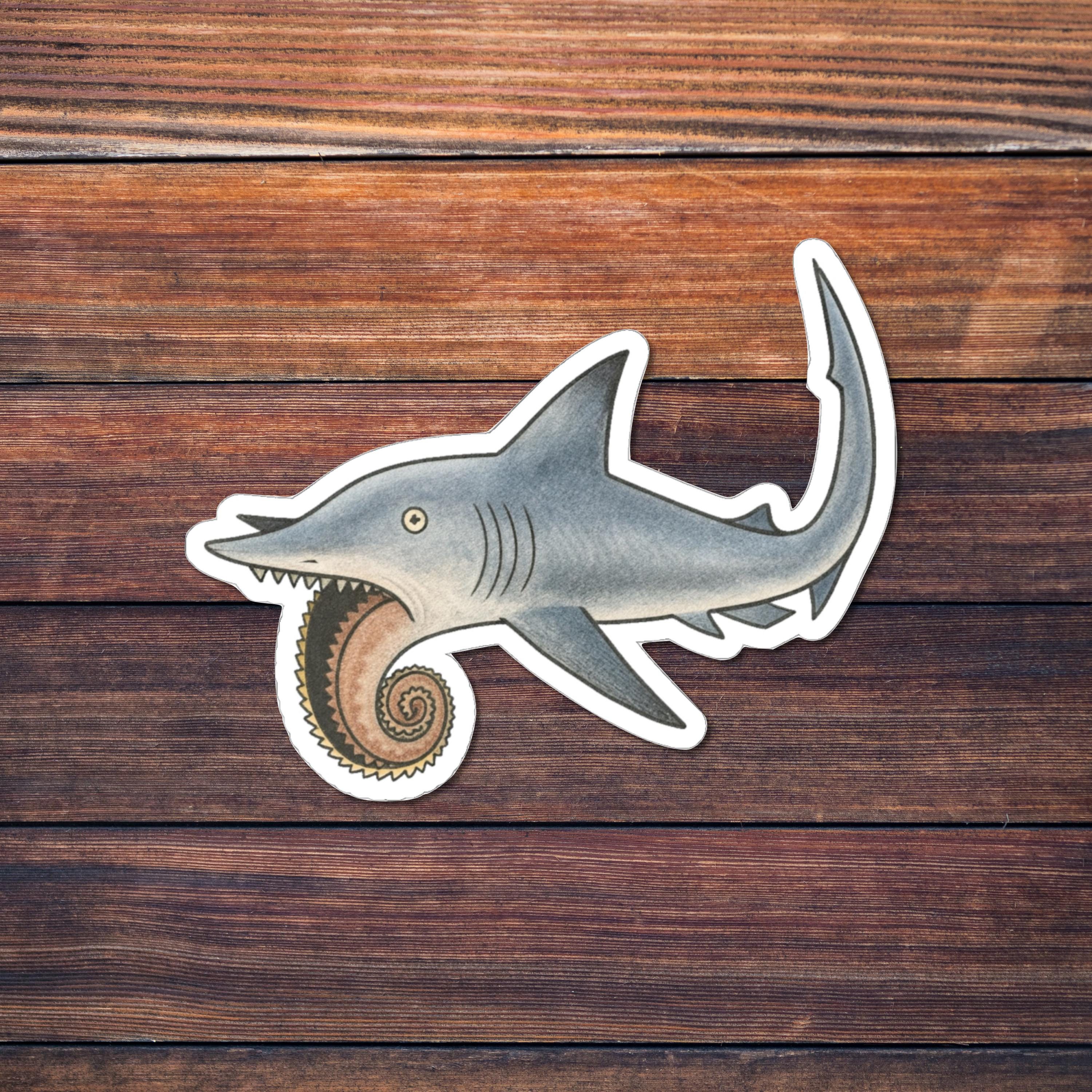 Helicoprion Fossil UK