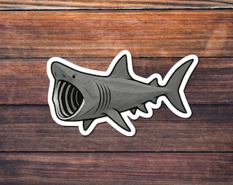 Basking Shark Sticker, Gentle Giant Kiss-Cut Decal, Marine Wildlife Art, Ocean Filter Feeder