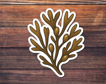 Brown Algae Sticker, Marine Seaweed Illustration, Ocean Plant Vinyl Decal for Water Bottles, Laptops, Journals